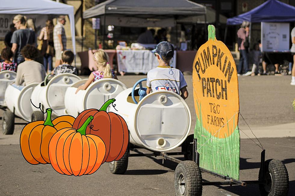 85+ Vendors and a Dozen Food Trucks at Laurels Fall Festival 9/9