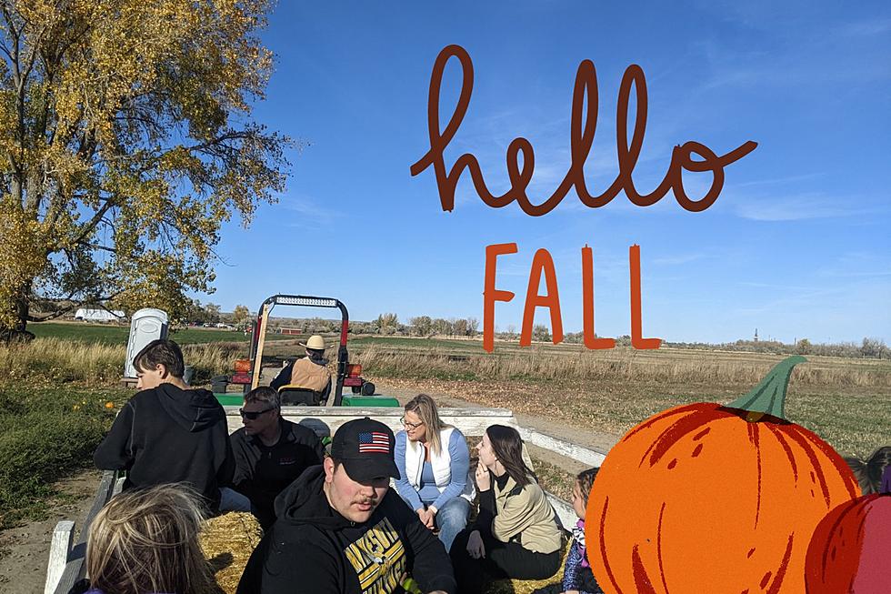 Our Guide to Fun Fall Activities in Billings and Surrounding Area