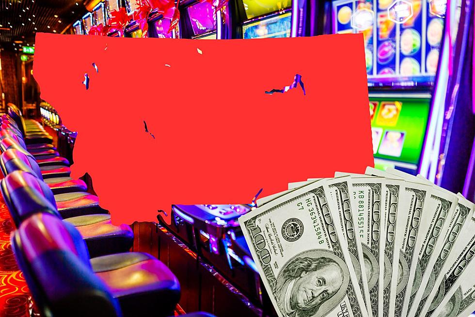 Bet Big? Montanans Gambled a Record Amount of Money this Year