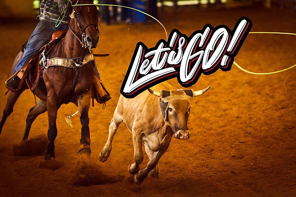 Never Been to a Rodeo? Tell Us About it and Win NILE 4-Packs