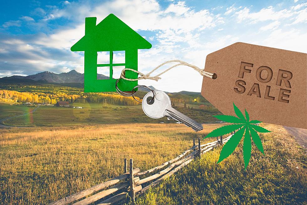 Are Super High Housing Prices in Montana Caused by Legal Weed?