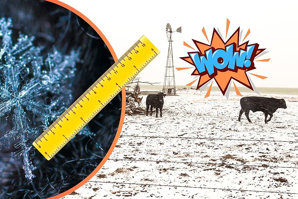 The Biggest Snowflake In The World Came From Montana