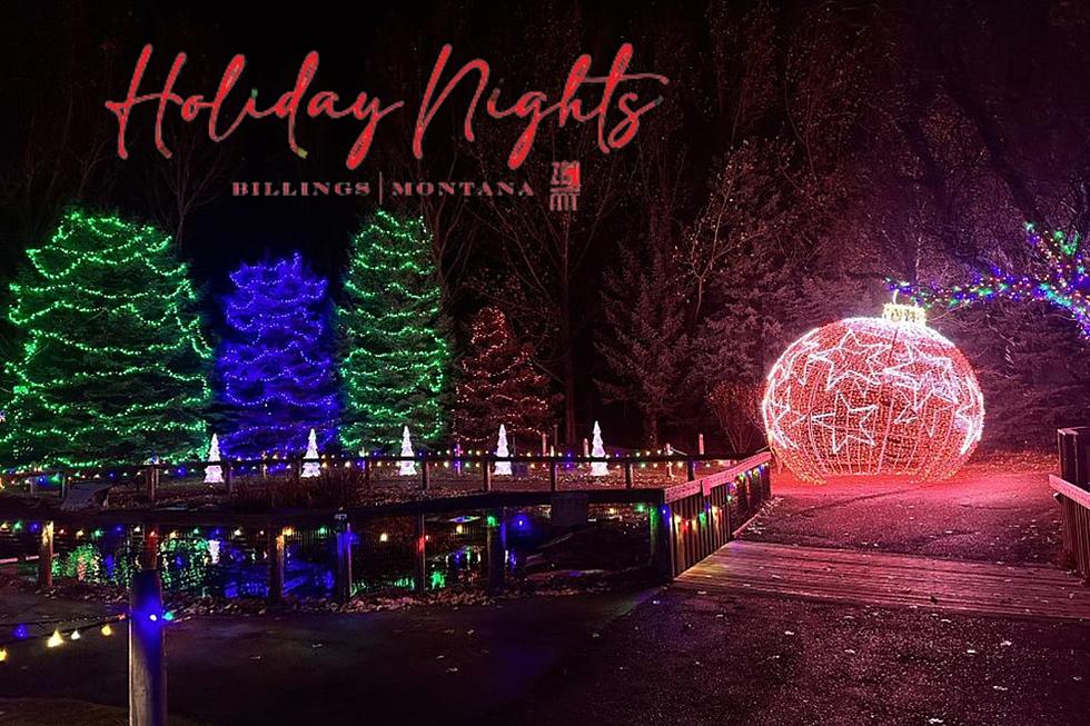 One of the Best Zoo Lights in the Nation are in Billings, MT
