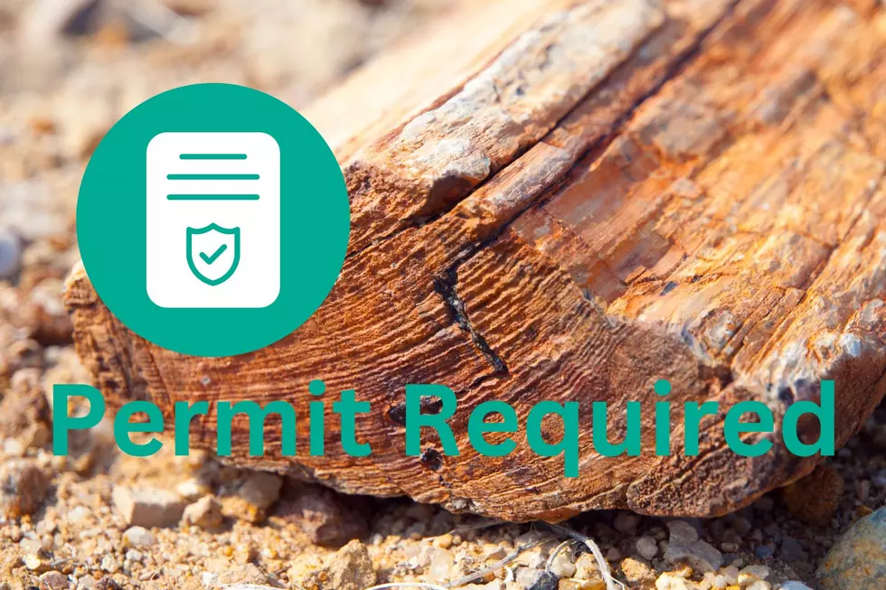 permit required for collecting small pieces