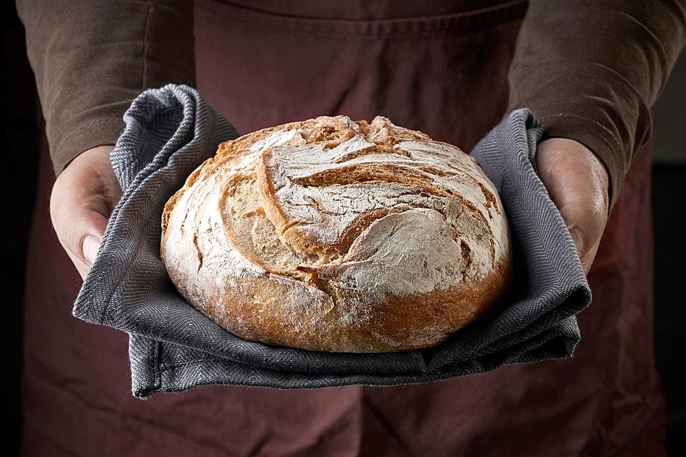 Home Bakers: Billings Bagel Shop Offering Free Sourdough Starter
