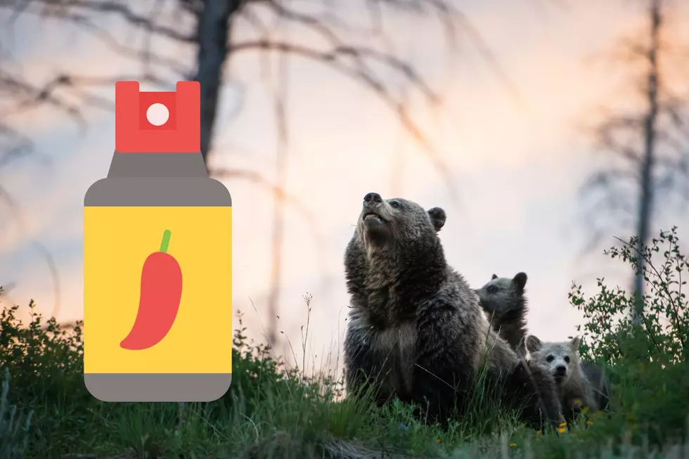 bear spray