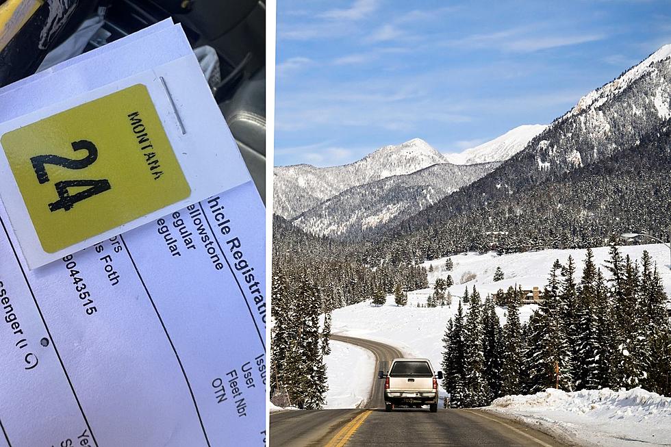 A Simple License Plate Hack Every Montanan Should Do