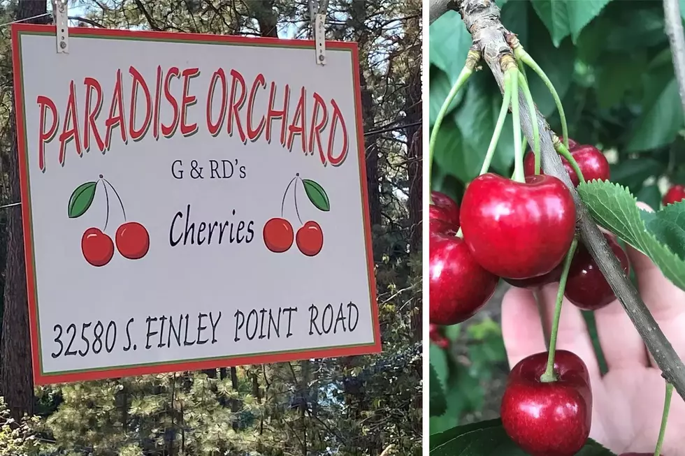 Cherries on the Flathead: Orchard Listed for $1.35 Million