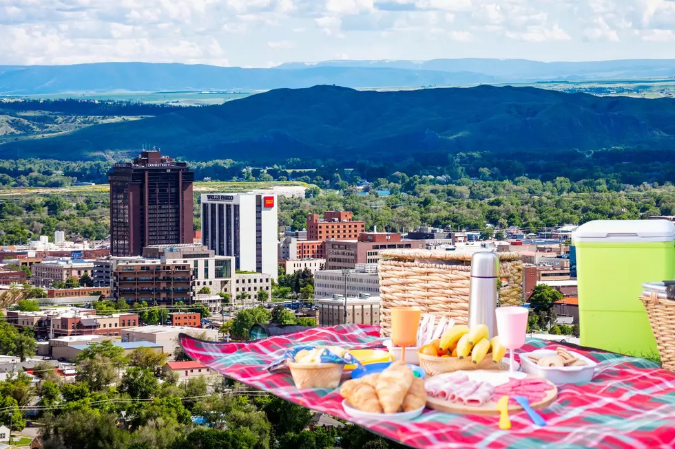 Top 5 Parks in Billings for a Fun-Filled Memorial Day Picnic