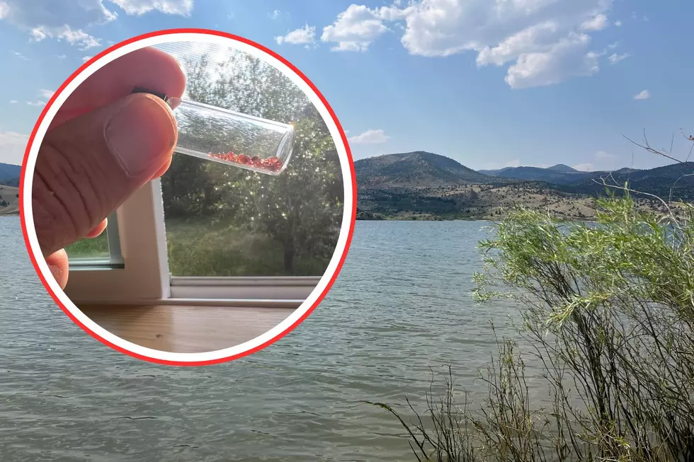 Finding Gemstones on the Beach in Montana