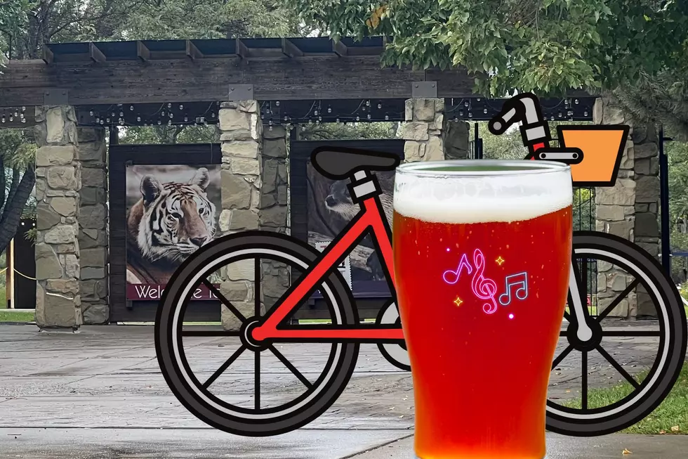 Ales for Trails 2024: The Ultimate End-of-Summer Billings Party