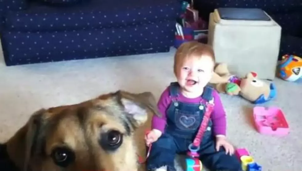 Mike&#8217;s Video Vault: Baby Laughs Hysterically While Dog Pops Bubbles [VIDEO]