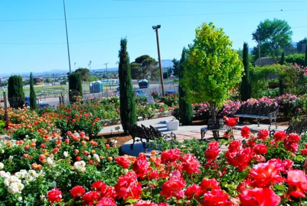 Best Places to Take Mom on Mother’s Day in El Paso – Our Top Five