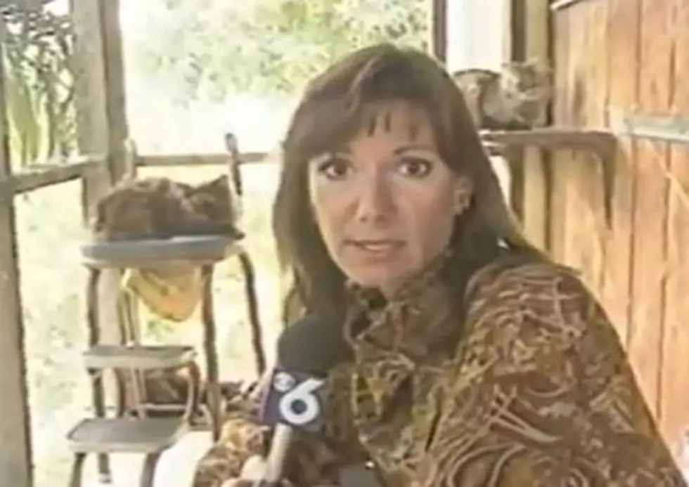 Great Moments in Broadcasting: Reporter&#8217;s Inappropriate Cat Story Tease [VIDEO]