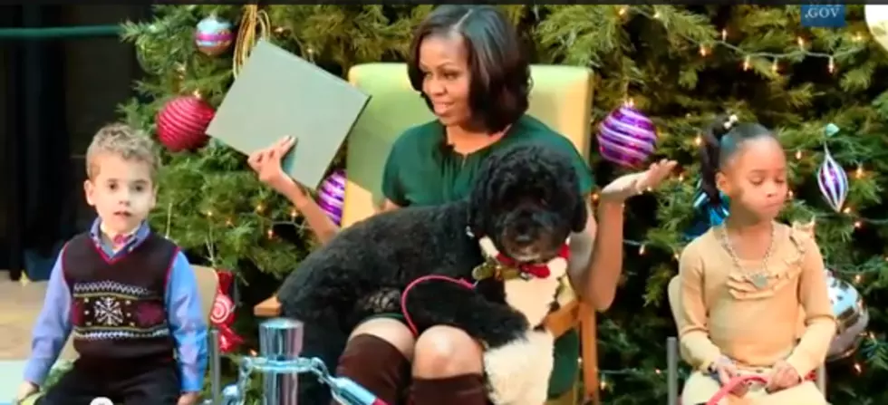 Adorable First Dog Bo Steals the Spotlight from Michelle Obama [VIDEO]