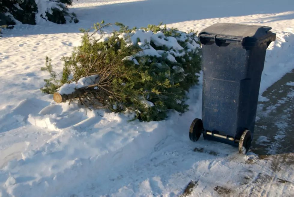 Recycled Christmas Tree Mulch Available in El Paso