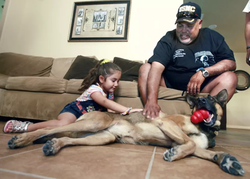 El Paso Family Adopts Fallen Son’s Military Working Dog