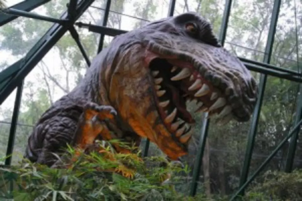 Dinosauria Exhibit Now Open Through January 8th In El Paso