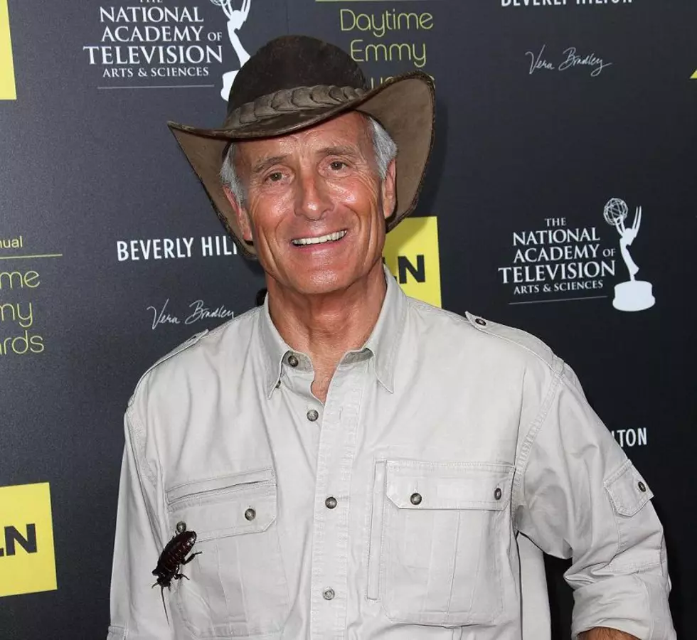 This Week in El Paso &#8211; Jack Hanna&#8217;s &#8216;Into the Wild&#8217; &#038; More