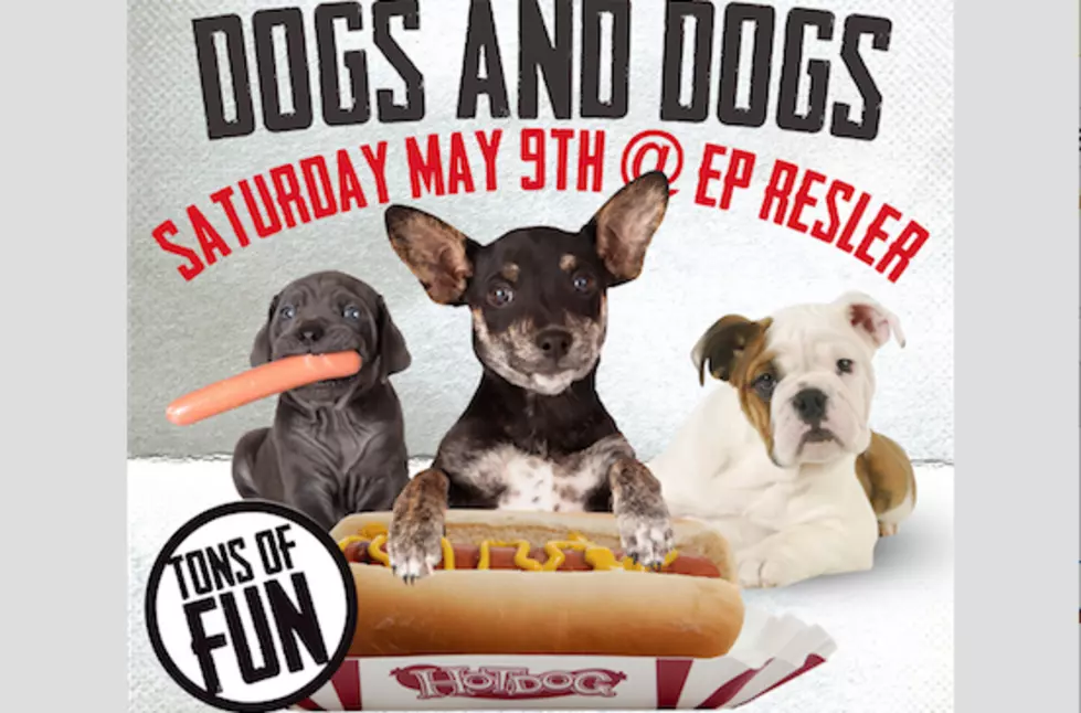 Animal Services and EP Fitness Host Dogs and Dogs Event This Saturday