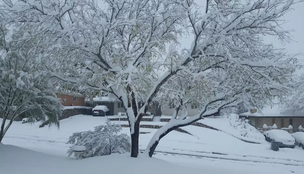 The 10 Most Epic Snowstorms El Paso Has Ever Seen