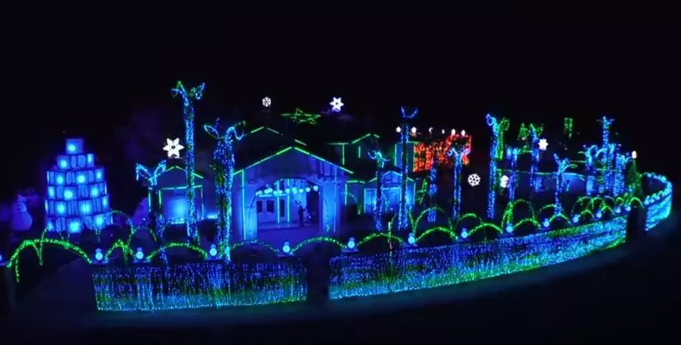 Watch Official 2015 Fred Loya Christmas Lights Video