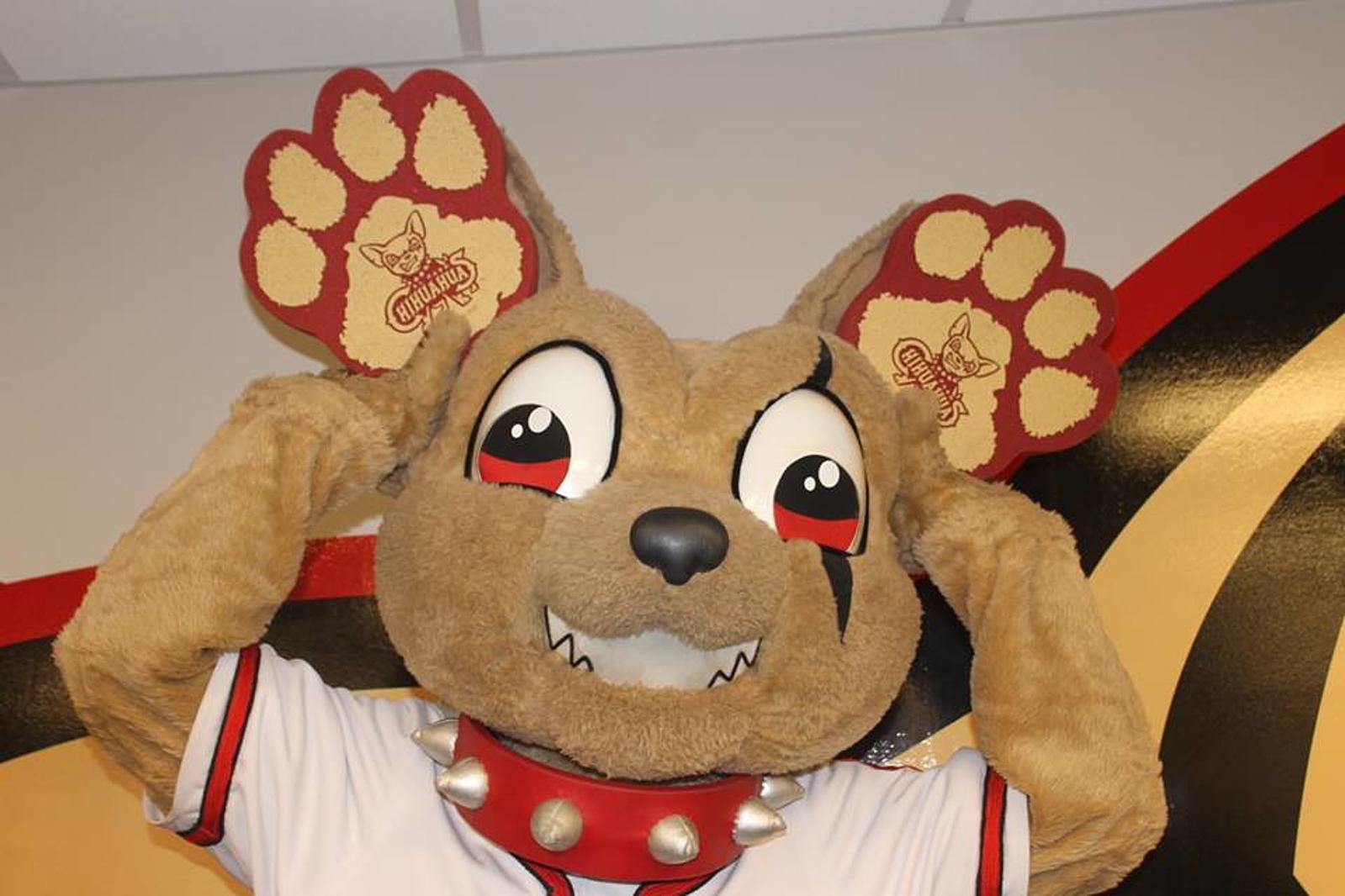 El Paso Chihuahuas hosting online virtual opening day – The Prospector