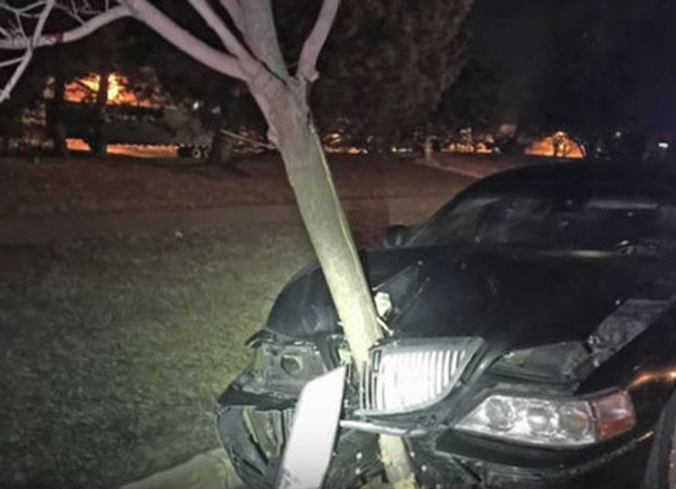 Drunk Driver Drives Around with 15 Ft Tree Stuck in Her Hood