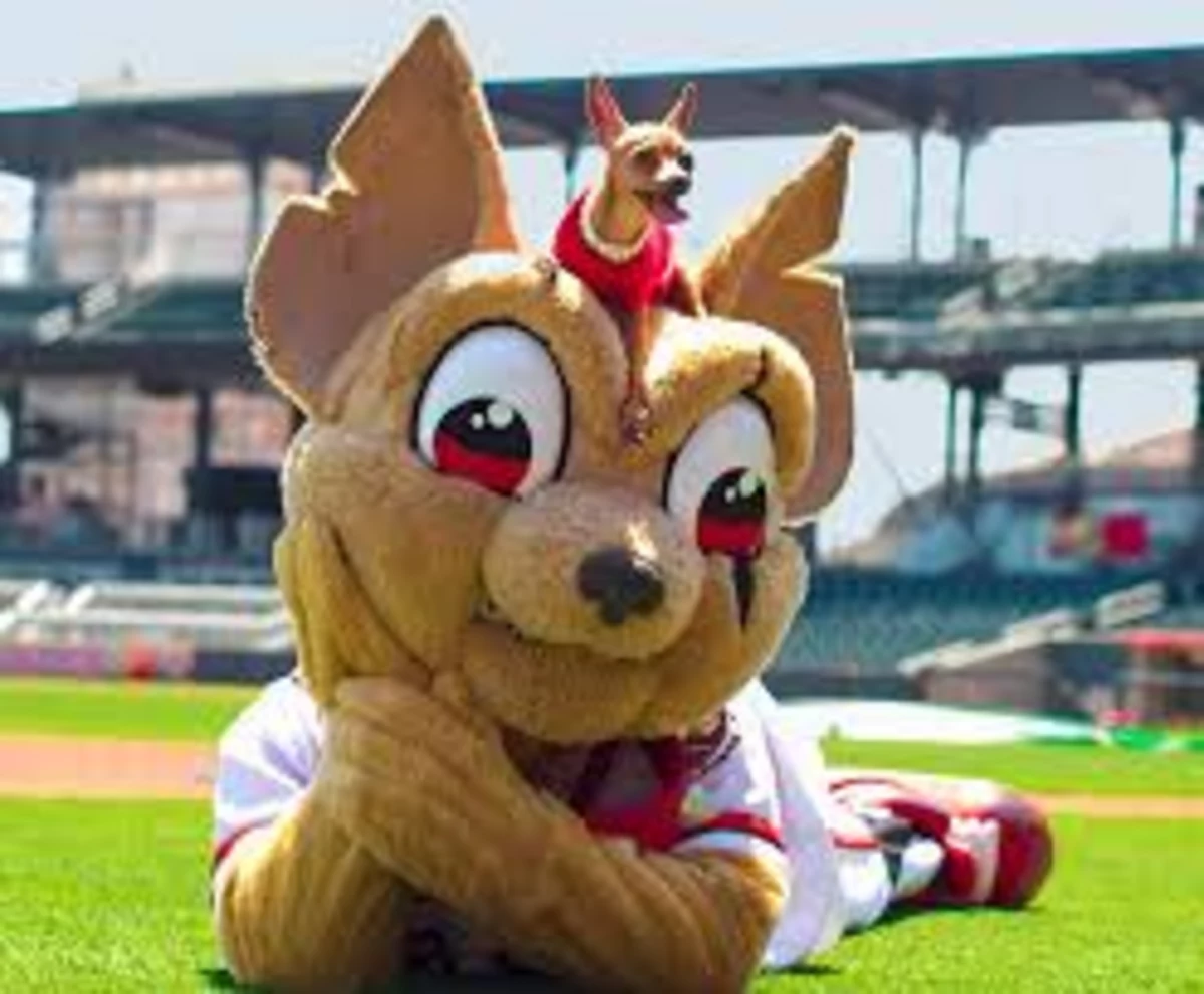 El Paso Chihuahuas Join Forces with Down Syndrome Coalition