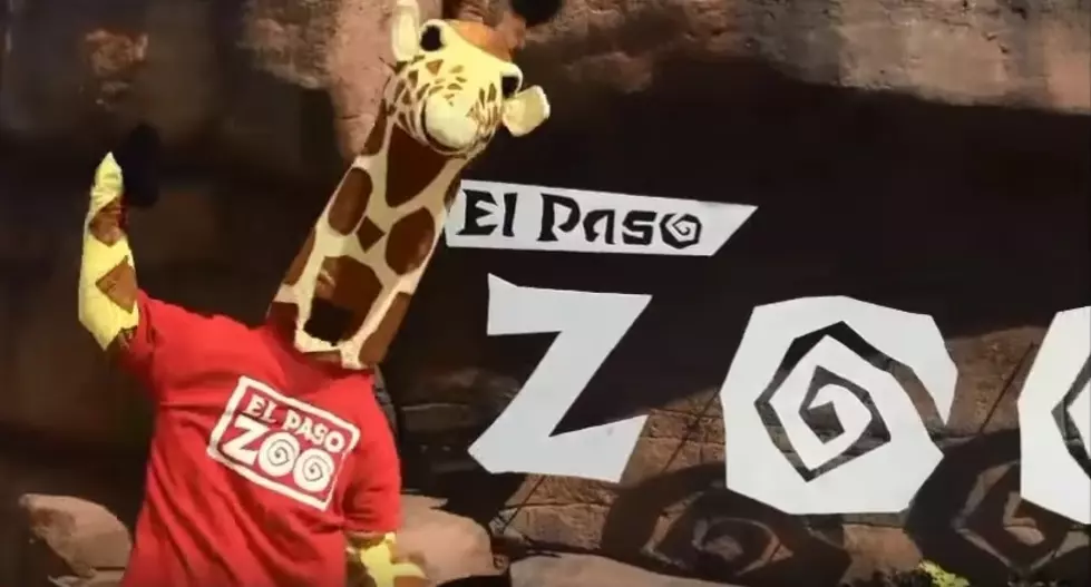 Become A Mental Health Hero This Weekend At The El Paso Zoo