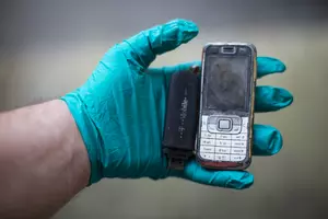 Animal Rescue Of El Paso Phones Are Down