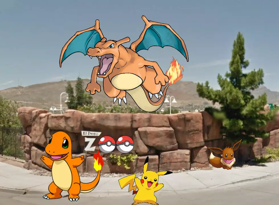 El Paso Zoo Inundated with Pokémon, Asking Public’s Help in Catching ‘Em All