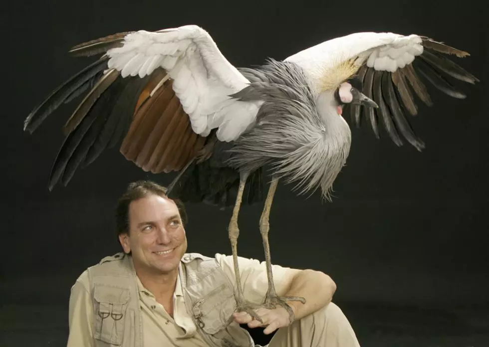 Check Out The El Paso Zoo’s New Wings Of The World Bird Show This Spring Break