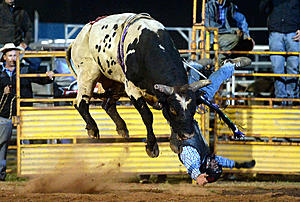Tuff Hedeman Championship Bull Riding Coming to El Paso