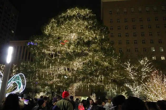 City Sets Date for 2017 Celebration of Lights Tree Lighting and Parade