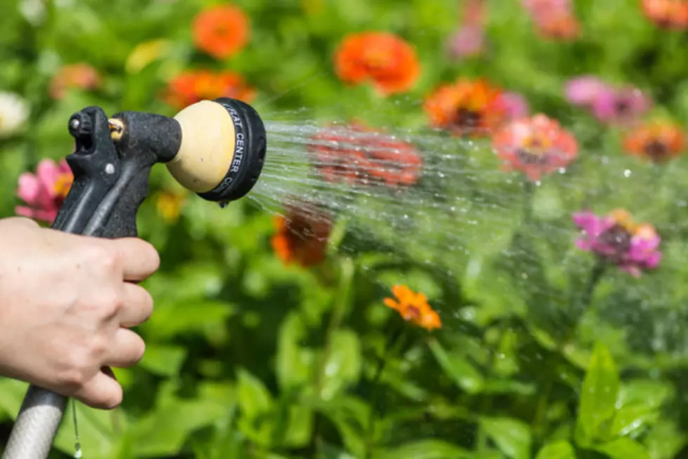 El Paso Spring/Summer Time-of-Day Watering Schedule Now in Effect