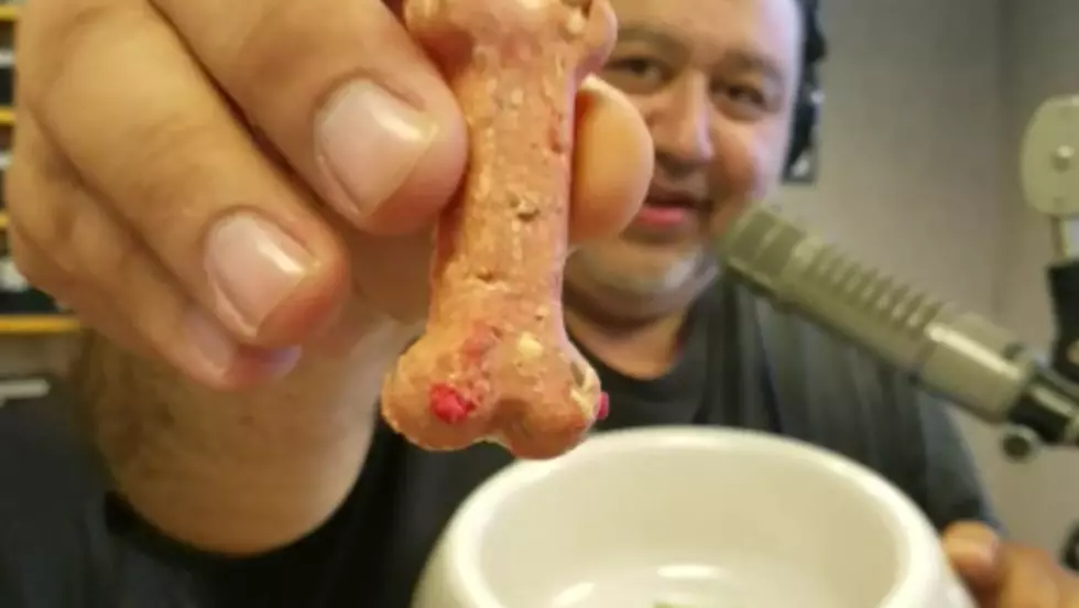 Kiss Listeners Decide Who Eats Dog Biscuits for Breakfast, Mike or Tricia – and the Winner Is …