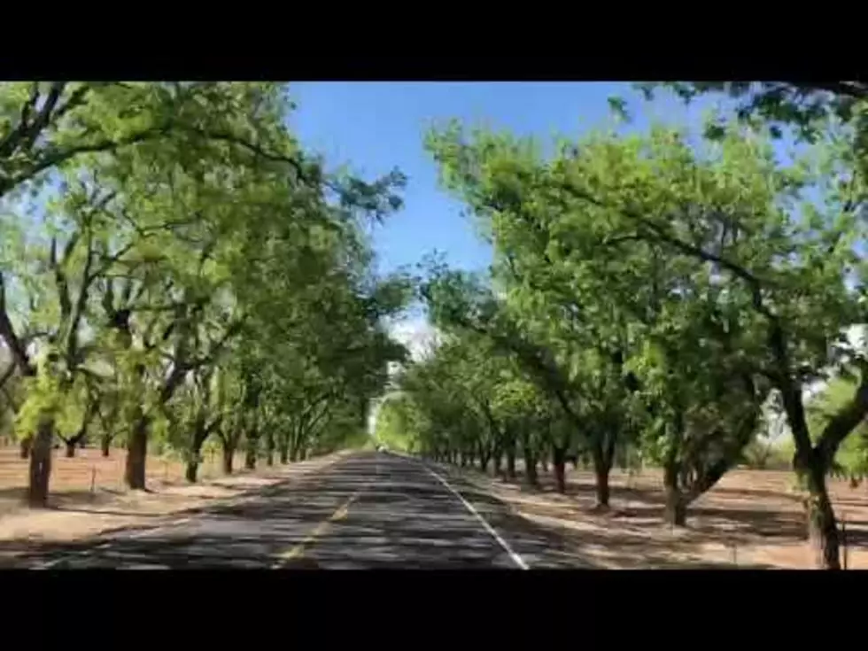 Watch This Beautiful Drive To Las Cruces On Highway 28 [VIDEO]