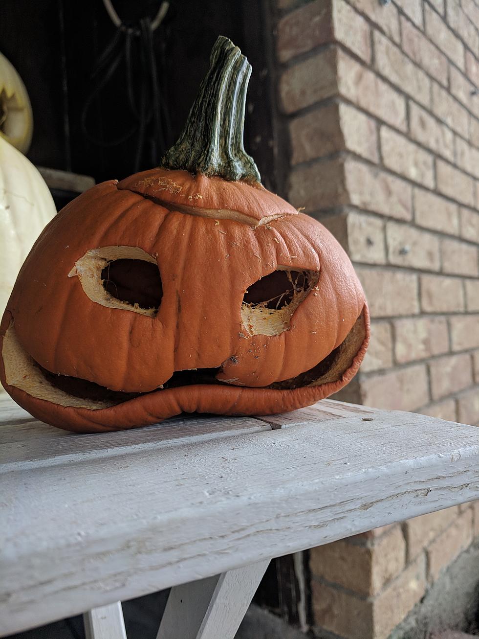 Tips on Preventing a Moldy Death For Carved Pumpkins