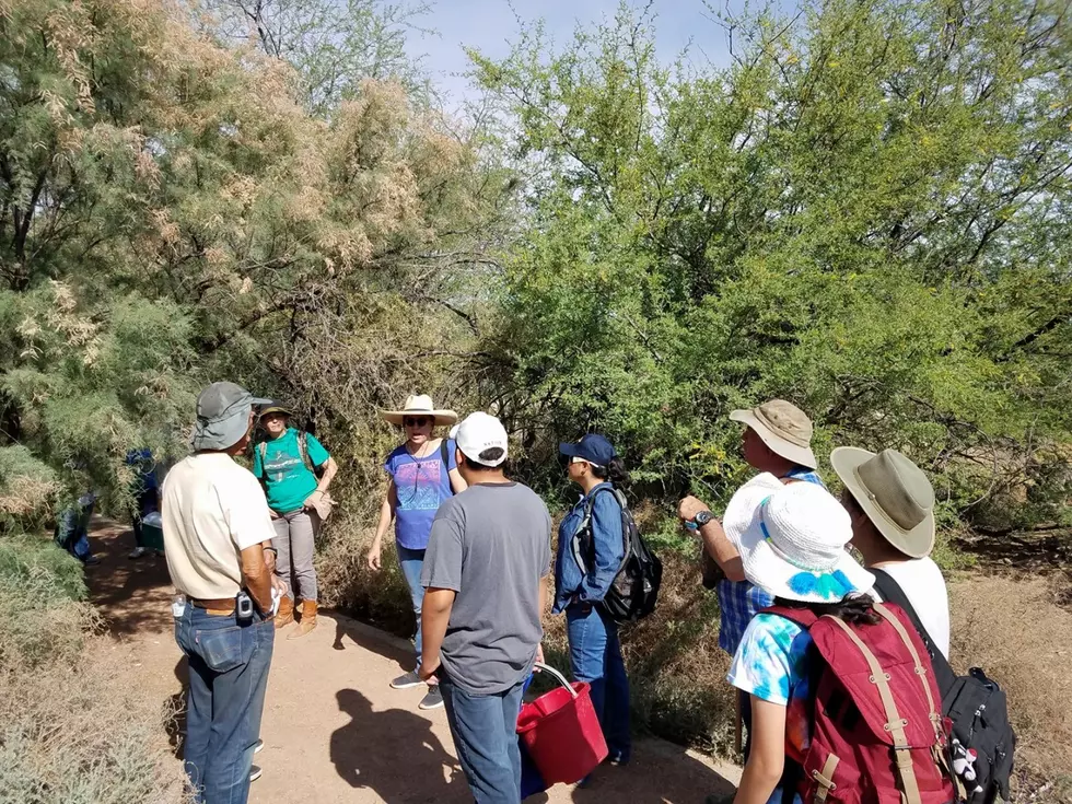 Rio Bosque Hike Coming Up in March