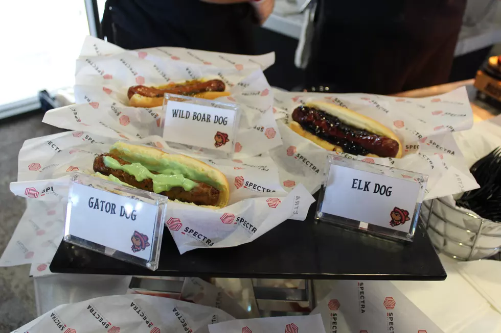 Alligator Sausage & More New Tasty Snacks at EP Chihuahuas Games