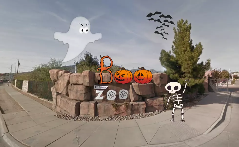 Trick-or-Treating, Pumpkin Bowling This Weekend at El Paso Boo at the Zoo