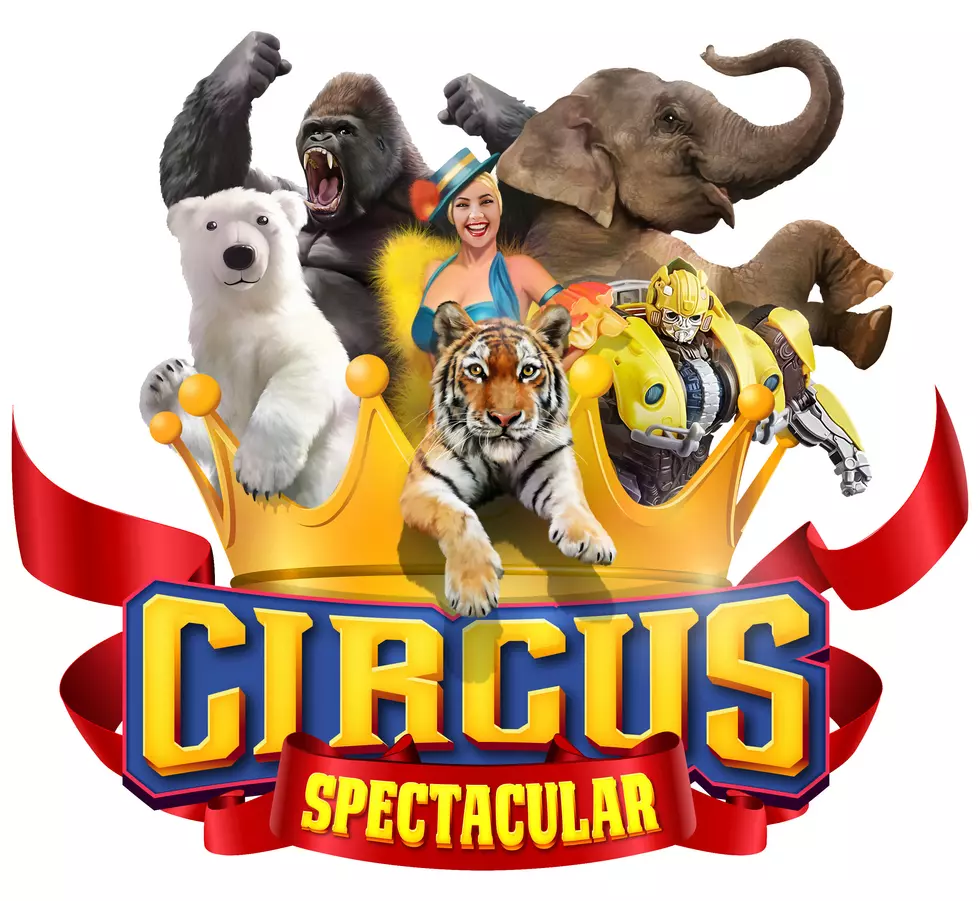 Which Voice Do You Want to Perform at the Spectacular Circus?