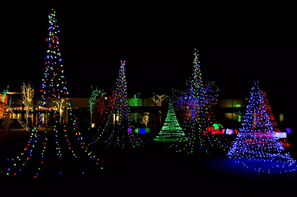 Lights on the Lake Invites Your Dogs to Go For a Jingle Bell Jog