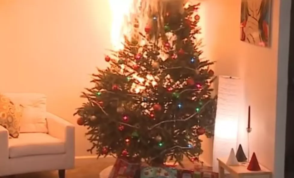 If You Have A Real Christmas Tree Check Out These Safety Tips