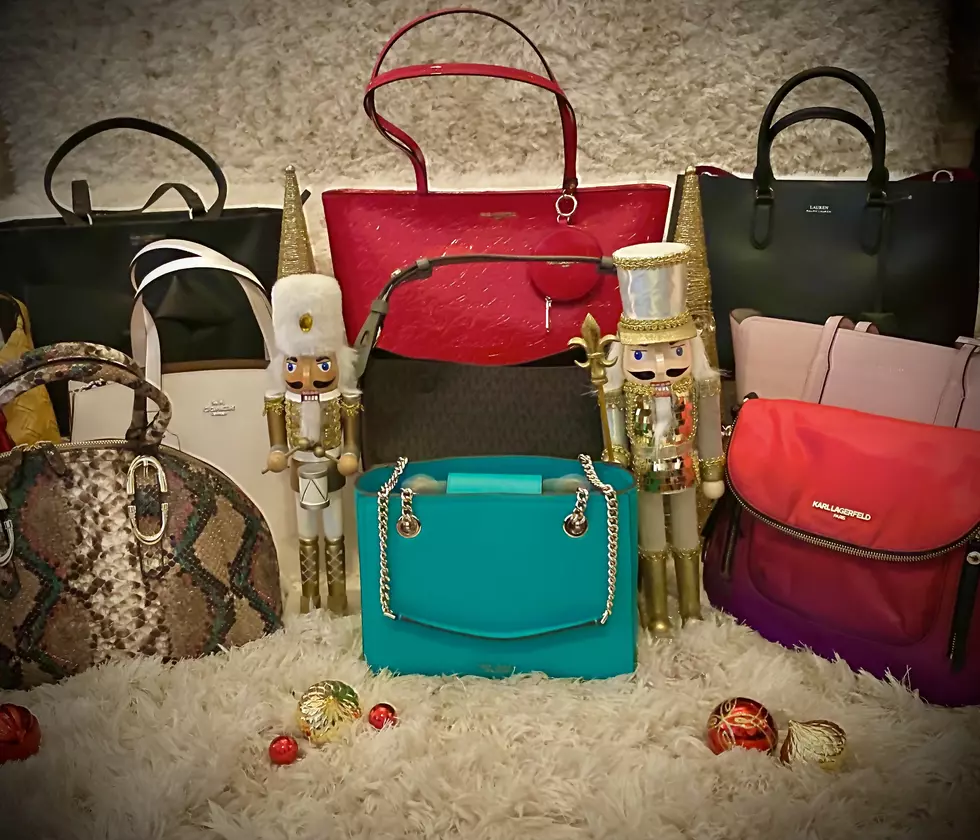 The Great Purse Giveaway 2020: Photos of Purses & Prizes