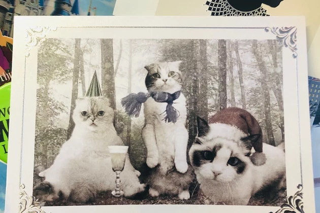 Taylor Swift unveils 'Folklore' and cat-based Christmas card