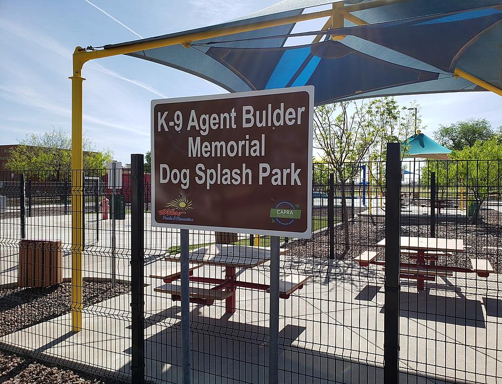 El Paso Spray Park Just for Dogs Is a Summertime Canine Paradise