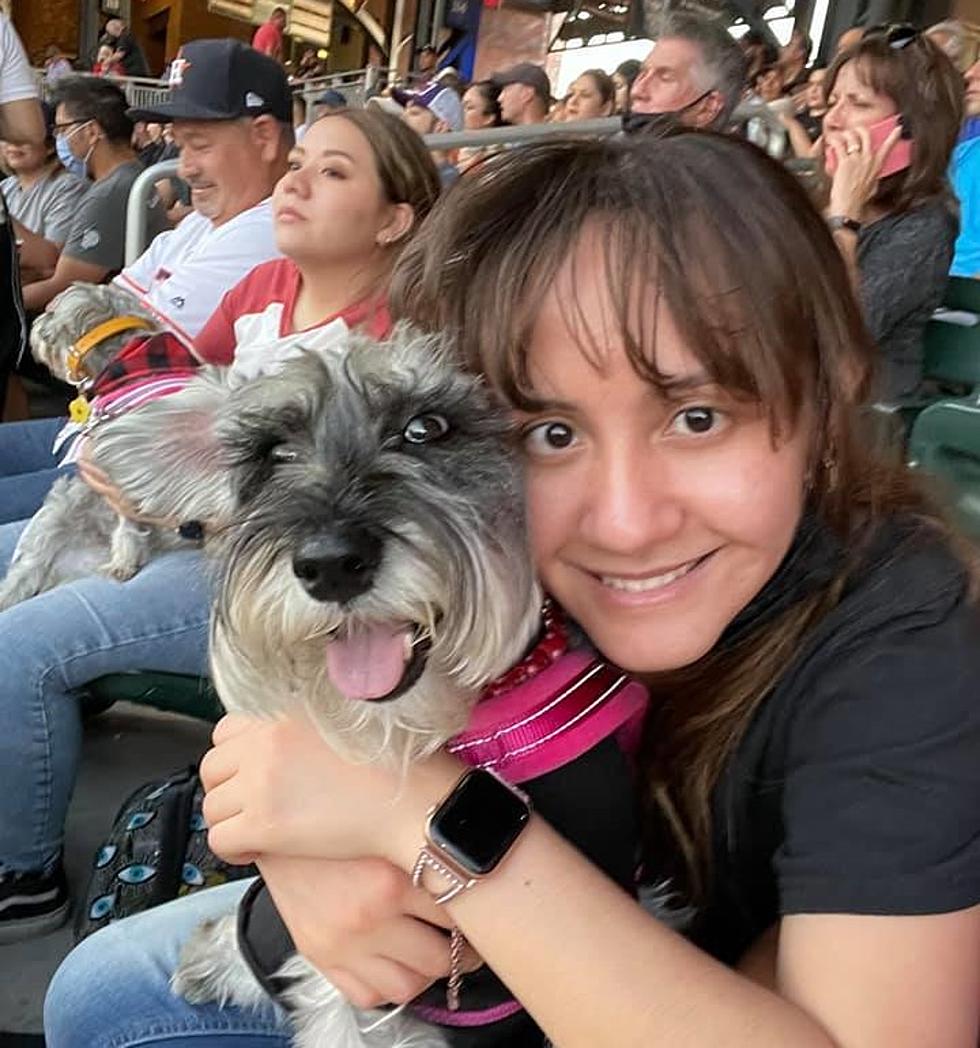 Baseball Loving Pooches Invited to El Paso Chihuahuas Bark at the Park Night