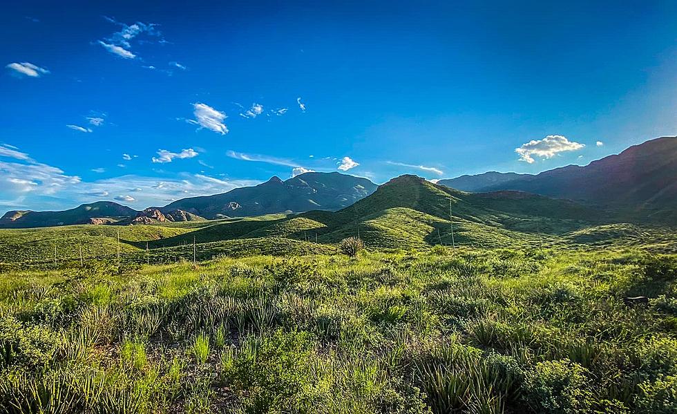 Viral Image Hilariously Captures How Green Monsoon Has El Paso Looking